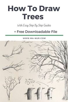 how to draw trees with easy step - by - step guides and free printable file