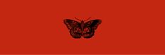 a red background with a black butterfly on it's back and the bottom half of its wings