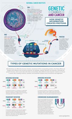 an info sheet describing the different types of medical devices and their functions in each region