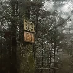 there is a sign on the side of a tree in the woods that says private keep out