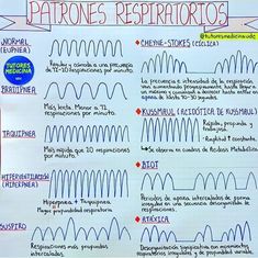 a whiteboard with some writing on it that says patrones respiratoros