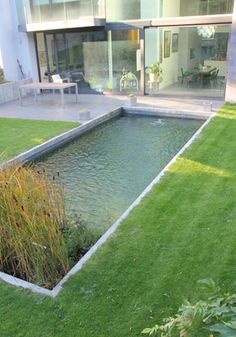 a small pond in the middle of a lawn