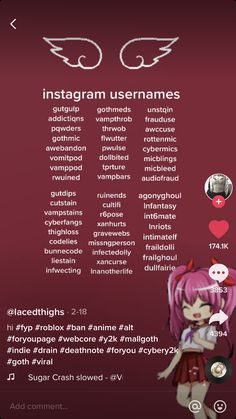 an info sheet with the words instagramm usernames and images on it