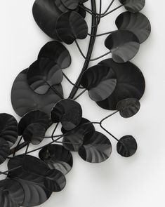 a plant with leaves on it is shown in black and silver colors, against a white background