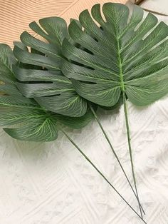 a bunch of green leaves laying on top of a bed