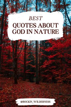 the words best quotes about god in nature are surrounded by trees and leaves with red foliage