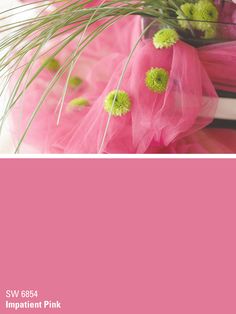 pink and green flowers are in a vase