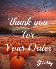 a field full of pumpkins with the words thank you for your order