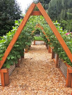 an outdoor garden with many plants growing in it