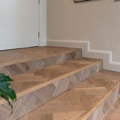 there is a plant that is sitting on the stairs next to the carpeted floor