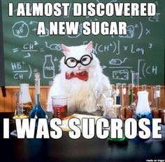 a white cat wearing glasses in front of a blackboard with flasks and beakers