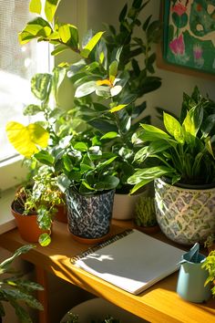 several potted plants sit on a table in front of a window