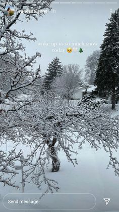 a snow covered tree in the middle of a snowy field with texting on it