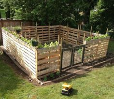 an outdoor vegetable garden with wooden pallets and plants growing in the center, surrounded by green grass