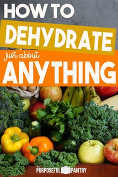 the cover of how to dehydrate just about any thing