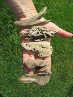 a person holding some rocks in their hand