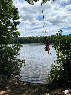 a person hanging from a rope over a body of water with trees in the background