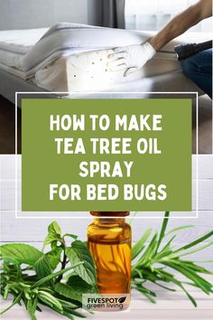 How to Make Tea Tree Oil Spray for Bed Bugs Essential Oil For Bed Bugs, Essential Oil Bed Bug Spray, Diy Bed Bug Spray, How To Check For Bed Bugs, Bed Bug Spray, Rid Of Bed Bugs, Skin Natural Remedies, Cold Sores Remedies