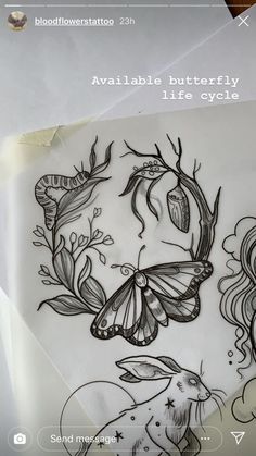 an image of butterflies and rabbits on paper