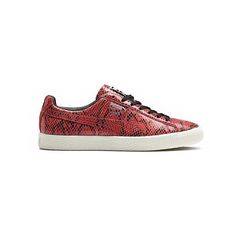 RARE PUMA CLYDE SNAKE SNEAKERS RED 363247 02 SZ US M 8 UK 7 EUR 40.5 #PUMA #FashionSneakers Puma Clyde, Lace Up Sneakers, Leather Lace, Leather And Lace, Vans Sneaker, Red Leather, Sneakers Fashion