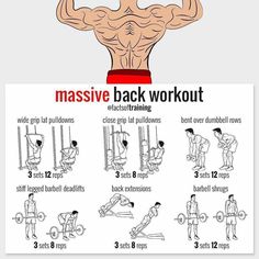 a poster showing how to do the back workout