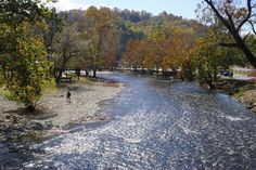 a man standing on the side of a river next to trees with fall colors in the background