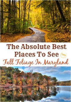 the absolute best places to see fall foliage in maryland, michigan with text overlay