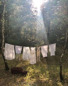 clothes hanging out to dry in the woods with sun shining through trees and sunlight streaming down on them