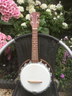 a close up of a small white and brown instrument on a chair next to flowers