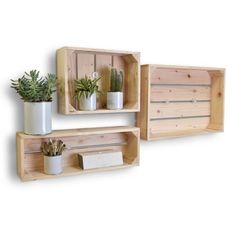 two wooden shelves with plants on them