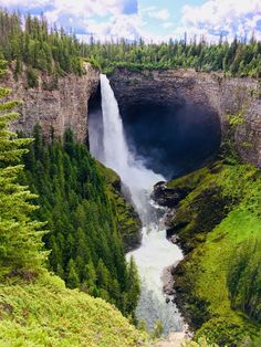 a waterfall in the middle of a forest filled with lots of green plants and trees