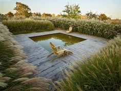 there is a small pool in the middle of some tall grass with two chairs on it