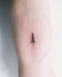 a small pine tree tattoo on the ankle