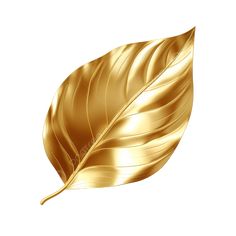 a golden leaf on a white background