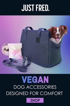 VEGAN DOG ACCESSORIES DESIGNED FOR COMFORT.  IMAGE SHOWS A DOG PEEKING ITS HEAD OUT OF A NAVY CANVAS DOG CARRIER.  A COORDINATING DOG COLLAR AND LEASH ARE LAYING CLOSE BY ALONG WITH A STYLISH WHITE BAG THE COLLAR AND LEASH COME IN.  SHOP NOW AT JUST FRED Hoodies For Dogs, Vegan Dog, Dog Waste Bag Holder, Collars And Leashes