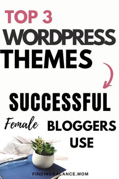 the top 3 wordpress themes for successful bloggers