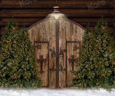 a painting of an open door with christmas trees around it