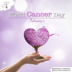 🔸World Cancer Day Offer 40% off On Chemotherapy Wigs🔸🔸 —> We Provide Chemotherapy Specialized Wigs For Men&Women. (Will Make Customized Wigs Also as Per Customers Requirement) To Know More Information Please Call/What’s App- 8099620222,9346620222.  #cancerday #worldcanceday #feb4th #shinehairstudio #hairreplacement #medicaltreatment #hairloss #nonsurgicalhairreplacement #shinehairstudioindia #hairbonding #hairweaving #hairrestoration #wigs #chemotherpywigs #hairextensions #hairsystems Dr David Samadi, Customized Wigs, David Samadi, Healthy Body Weight, Breastfed Baby, Healthy Food Choices, Health Articles, Wigs, Blog Posts