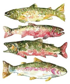 four different types of fish painted in watercolor on white paper with green, pink and yellow colors