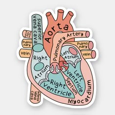 a sticker with the words aote written in different languages, and an image of a human heart