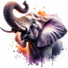 an elephant with large tusks is painted in watercolor