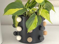 a potted plant with pom - poms in it sitting on a table