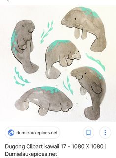 four watercolor drawings of sea lions on white paper with blue and green paint splatters