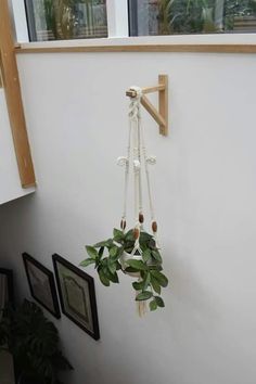 a plant hanging from the side of a wall next to two framed pictures on a wall