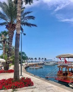 a boat is docked in the water next to some palm trees and red flowered bushes