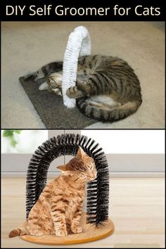 two pictures one with a cat and the other with a scratching post