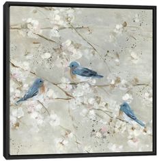 three blue birds sitting on branches with white flowers