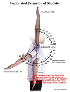 Shoulder Range Of Motion, Flexion And Extension, Shoulder Anatomy, Physical Therapy School, Physical Therapy Assistant, Occupational Therapy Assistant, Sports Therapy, Yoga Anatomy