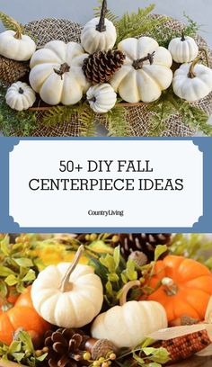 some white pumpkins and pine cones in a basket with the words 50 diy fall centerpiece ideas