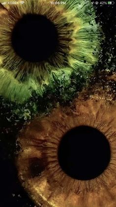 Green Brown Eyes Aesthetic, Green Eyes And Brown Eyes, Green Eyes Wallpaper, Brown And Green Eyes, Brown Eyes Aesthetic